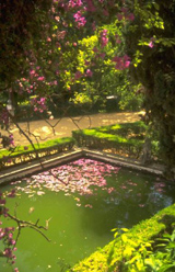 Organizational Therapy Book